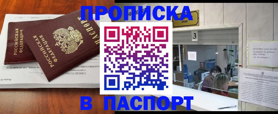 временная регистрация поиск в Новгородской области